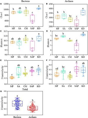 Environmental Filtering by pH and Salinity Jointly Drives Prokaryotic Community Assembly in Coastal Wetland Sediments